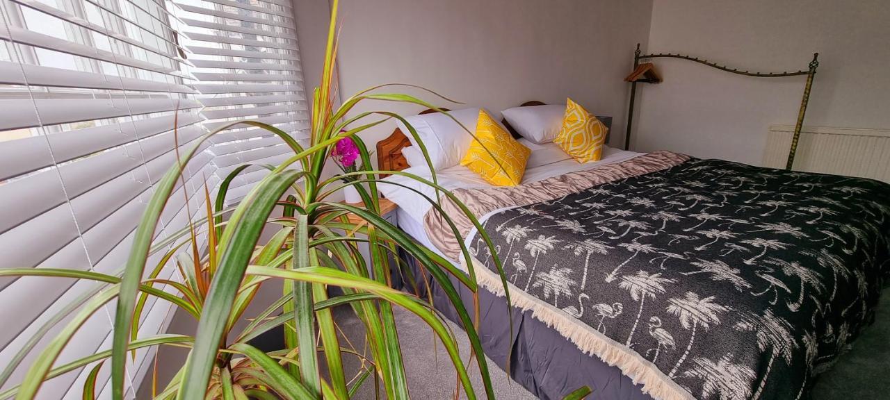 Hidden Gem Near The Beach With Pool Table Newquay  Ngoại thất bức ảnh